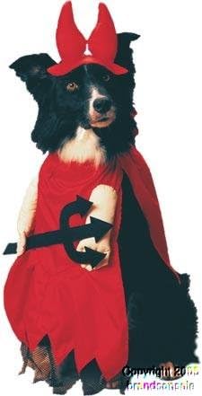 Pet Red Devil Dog Costume (Size: Medium)