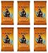 Magic The Gathering MTG Guilds Of Ravnica - 6 Booster Packs