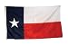 America's Flag Company SF3X5NOTX1 3-Foot by 5-Foot Nylon Texas State Flag with Appliqued Star and Sewn Components