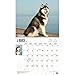 For the Love of Siberian Huskies Deluxe - 2017 Calendar 14 x 12in