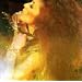 GIBIER du MARI(DVD�t)