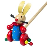 Rabbit Push Along