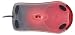 Microsoft Wheel Mouse Optical 1.1 (5 pack)