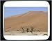 Decorated Mouse Pad with Africa, austere, parches, trees, light, severe, geography, JI-1001258371, dead, outdoors, dry, shadow, trio, habitat, geology, outside, African, ulei, three, contrast, topography, Namibia, sand, arid, Namib Desert, landscape, dunes
