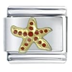Animal Starfish
