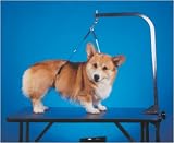 No-Sit Haunch Holder Regular