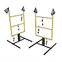 Wild Sales Miami Dolphins Tailgate Golf Toss Game