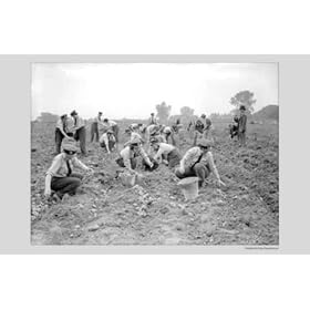 Women at War - Forces Services People Art Poster Print, 17x11