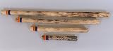 Rain stick, 12, Cactus