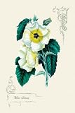 Art Poster, White Beauty - 20x30
