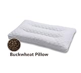 Buckwheat Healthy Pillow W/double Zipper Cotton Cover Size: 25x14 (White)