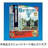 目がホリデー (スリムパッケージ版)