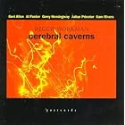 Cerebral Caverns by Tapan Modak, Reggie Workman, and Gerry Hemingway (Audio CD - 1995)