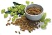 Tribest SJ006B Organic Hunza Golden Raisins 16 oz