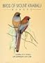 Birds of Mount Kinabalu, Borneo