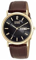 Citizen Eco-Drive Men's Gold-Tone Leather Watch #BM8242-08E