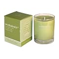 Aromatherapy Candle Workaholic