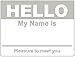 100 Name Tags - 2-5/16 x 4 inch - Hello My Name is Stickers Labels, Name Tags Visitor Sticker Badges Write on Adhesive Color Simple Basic Blank (Gray)