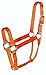 Hamilton 1-Inch Nylon Quality Halter for 800 to 1100-Pound Horse, Average, Hot Orange