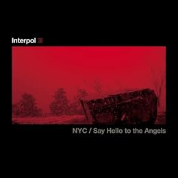 Interpol Picture 10
