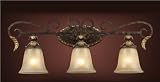 Elk Lighting 2152/3 Trump Home Regency Three Light Bathroom Vanity Light in Burnt Bronze