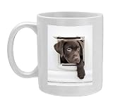 Photo Mug of Chocolate Labrador Dog from RSPCA