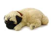 Perfect Petzz Pug