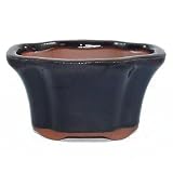 10cm Accent Plant or Cactus Pot