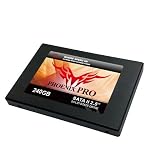 Item 4828: G.SKILL PHOENIX PRO Series 240GB FM-25S2S-240GBP2