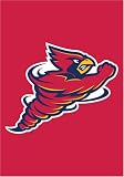 Iowa State Cyclones New Decorative Mini Garden Flag