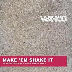 Make Em Shake It
