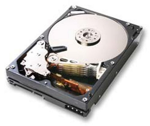Childrens Toyshop  Computer : Hitachi Deskstar 7K1000 3.5" 1TB SATA Hard Disk Drive 32MB Buffer - OEM
