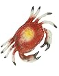 8" Replica Plastic King Crab Hawaiian Luau Decoration