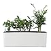 Elongated Self Watering Planter Pots Window Box with Coconut Coir Soil 5.5 x 16 inch Indoor Home Garden Modern Decorative Planter Pot for All House Plants Flowers Herbs (1, White(5.5