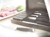 41EUh6qNUBL._SL160_ - Pampered Chef Forged Steak Knife Set of 4 with Case - forged-knife-sets