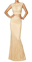 Sleeveless Mermaid Lace Beaded Evening Dress  with a Brush/Sweep Train 