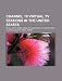 Channel 10 Virtual TV Stations in the United States: Wcau, Kxtv, Wten, Wbns-TV, Wjar, Wtaj-TV, Walb, Whec-TV, Kttc, Wilx-TV, Wmvs, Wkno