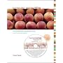 Computer Accounting with Peachtree Complete 2006, Release 13.0 with Student CD-ROM