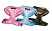 Pet Supplies : Puppia Orion Harness - Sky Blue X-Small