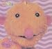Books : Roma (Hoobs Twizzletuft Board Books)