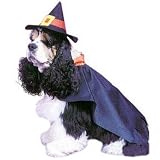 PET COSTUME,WITCH