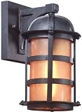 Aspen Collection 11 1/4 High Outdoor Wall Light