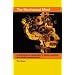 Philosophy of mind introduction