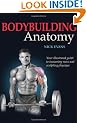 Bodybuilding Anatomy
