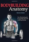 Bodybuilding Anatomy 41EV6TFdreL. SL160 Bodybuilding Anatomy