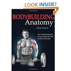 Bodybuilding Anatomy