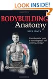 Bodybuilding Anatomy