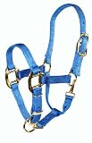 Hamilton 3/4 Adjustable Quality Pony Halter with snap, berry blue