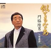 似てるなあ