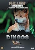 Eigenschaften Cine Plus Home Entertainment GmbH  / Killer Instinct - Dingos